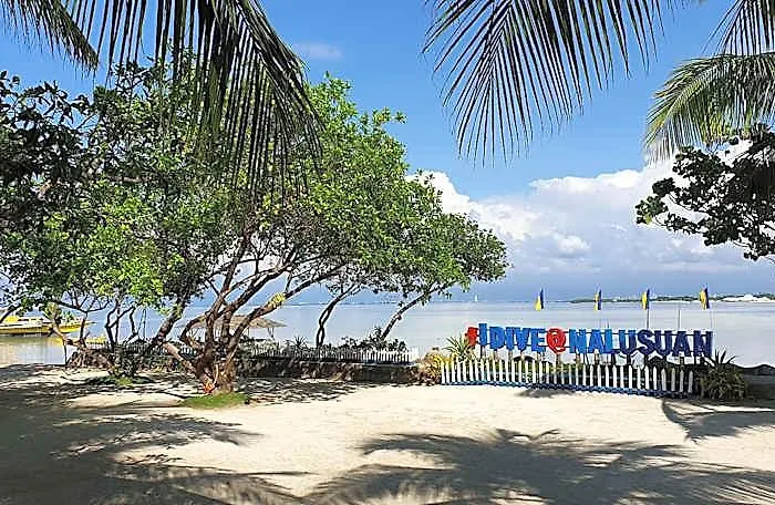 Nalusuan Island And Marine Sanctuary Cebu