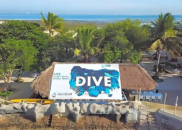 Nalusuan Island And Marine Sanctuary Cebu