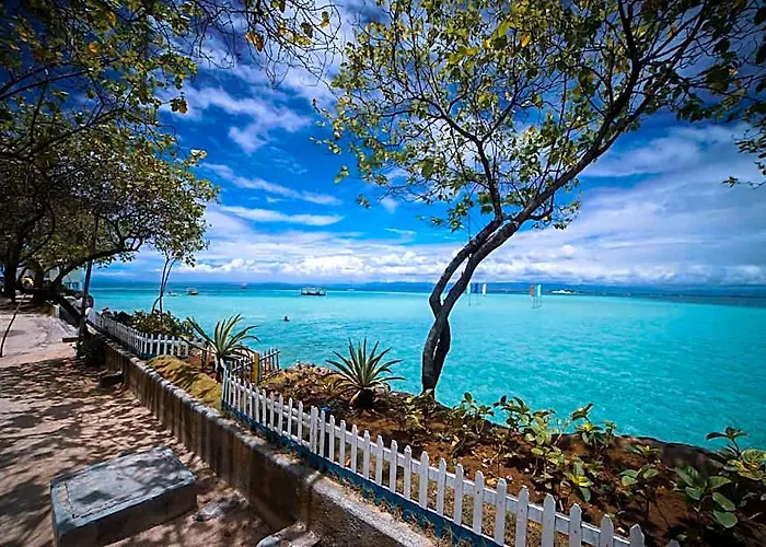 Nalusuan Island And Marine Sanctuary Cebu