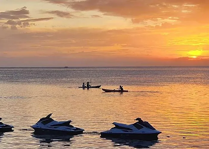 Nalusuan Island And Marine Sanctuary Hotel