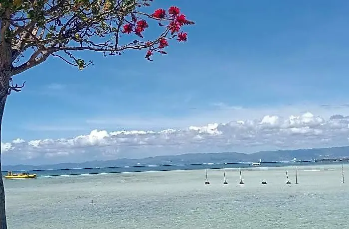 Hotel Nalusuan Island And Marine Sanctuary Cebu